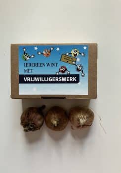 Bloembollen Week van de Vrijwilliger 2023